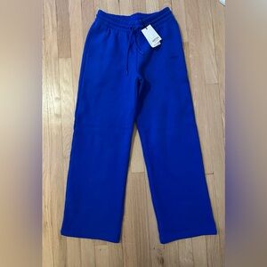 Aritzia Cozy Sweatfleece Boyfriend Wide Sweatpant - Jazz Blue